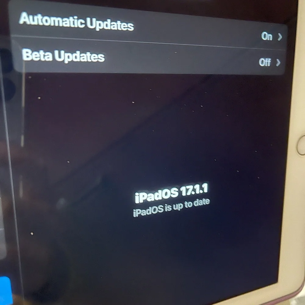 Apple excellent no